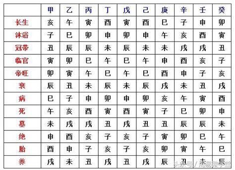 長生十二式|八字算命基礎——十二長生